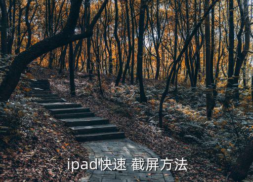  ipad快速 截屏方法