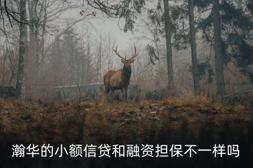 瀚華的小額信貸和融資擔(dān)保不一樣嗎