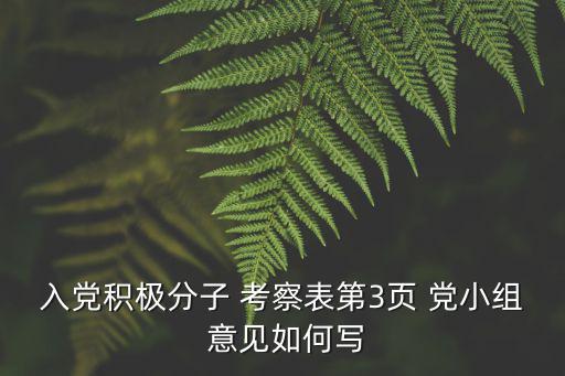 入黨積極分子 考察表第3頁 黨小組 意見如何寫