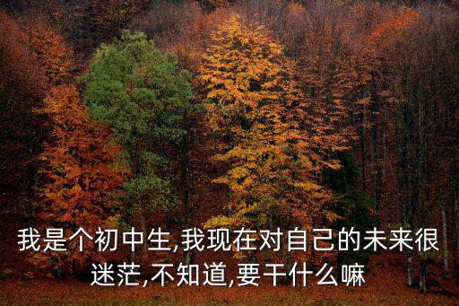 我是個初中生,我現在對自己的未來很迷茫,不知道,要干什么嘛