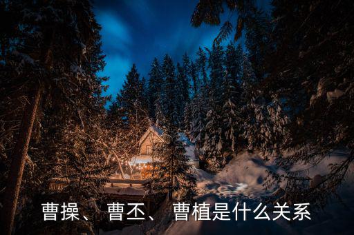 曹操、 曹丕、 曹植是什么關(guān)系