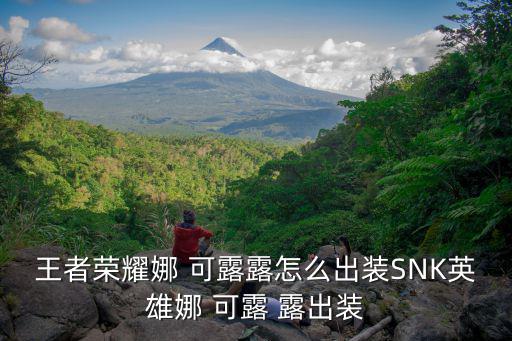 王者榮耀娜 可露露怎么出裝SNK英雄娜 可露 露出裝