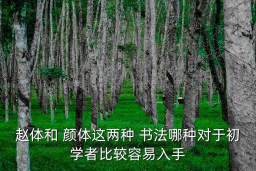 趙體和 顏體這兩種 書法哪種對于初學者比較容易入手