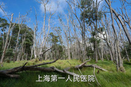 上海第一人民醫(yī)院
