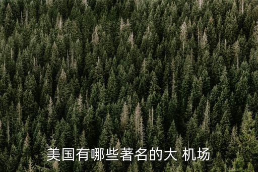 美國(guó)有哪些著名的大 機(jī)場(chǎng)
