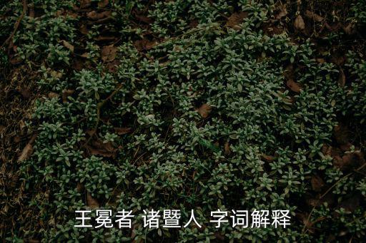 王冕者 諸暨人 字詞解釋
