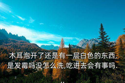 毛木耳,三大不同之處:首先要弄清楚!木耳是什么來頭