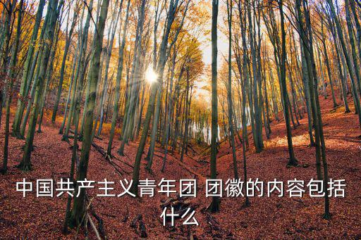 中國(guó)共產(chǎn)主義青年團(tuán) 團(tuán)徽的內(nèi)容包括什么