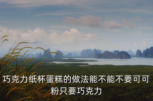 可可紙杯蛋糕，巧克力紙杯蛋糕的做法能不能不要可可粉只要巧克力