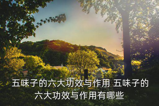  五味子的六大功效與作用 五味子的六大功效與作用有哪些