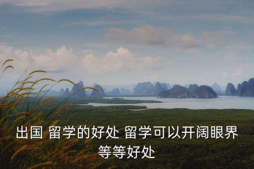 出國 留學的好處 留學可以開闊眼界等等好處
