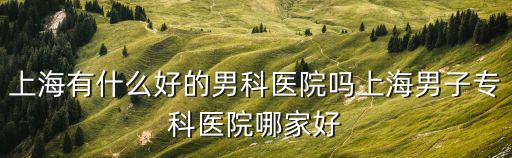 上海有什么好的男科醫院嗎上海男子專科醫院哪家好