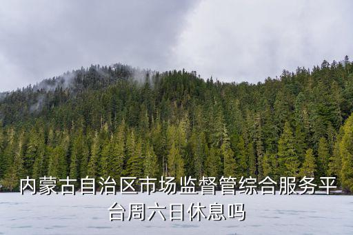  內蒙古自治區市場監督管綜合服務平臺周六日休息嗎