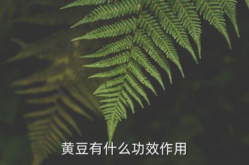 大豆異黃酮的功效與作用,豆?jié){知多少?