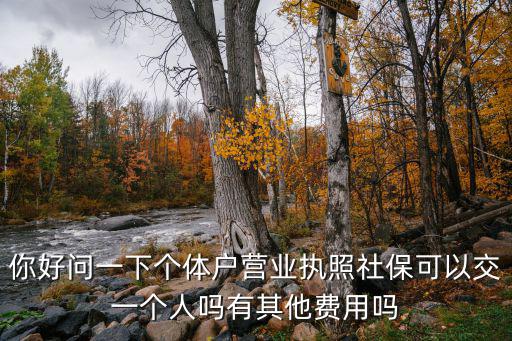 你好問一下個體戶營業執照社保可以交一個人嗎有其他費用嗎