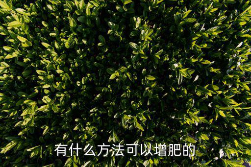 有什么方法可以增肥的