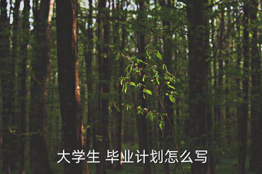  大學生 畢業計劃怎么寫