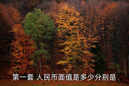 人民幣面額,中國央行推出第五套人民幣百元大鈔