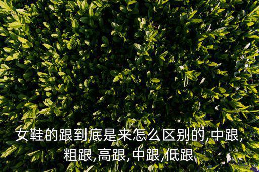 女鞋的跟到底是來(lái)怎么區(qū)別的,中跟,粗跟,高跟,中跟,低跟