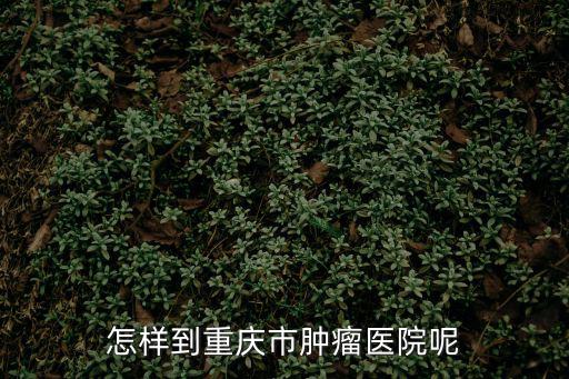 怎樣到重慶市腫瘤醫院呢