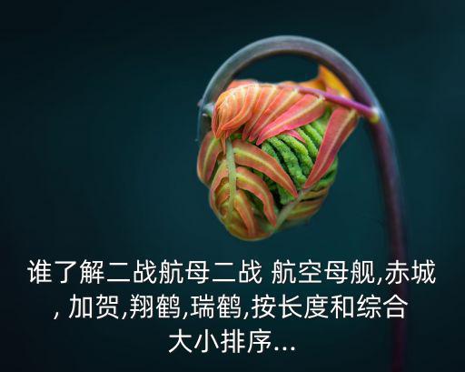 加賀號(hào)航空母艦,《巔峰戰(zhàn)艦》推出全新玩法戰(zhàn)斗機(jī)加入航母戰(zhàn)斗