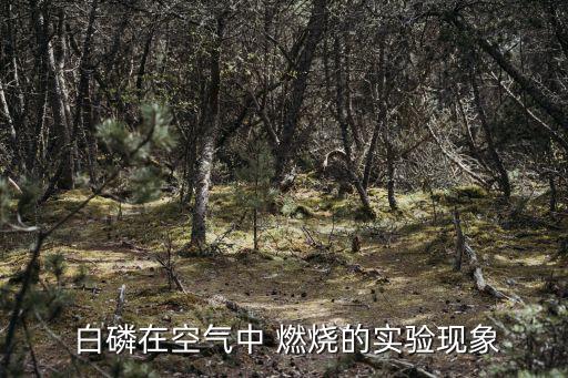 白磷燃燒現(xiàn)象,廢氣污染的五個可能性