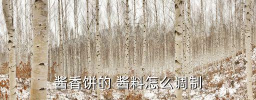 醬香餅的 醬料怎么調制