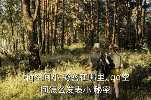 qq空間小 秘密在哪里, qq空間怎么發表小 秘密