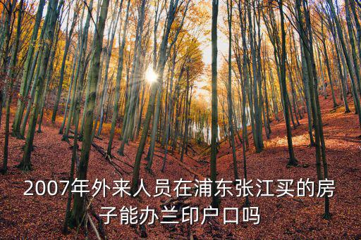 2007年外來人員在浦東張江買的房子能辦蘭印戶口嗎