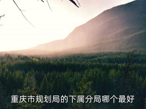 重慶市規范局，重慶城市規劃管理局建有微博嗎