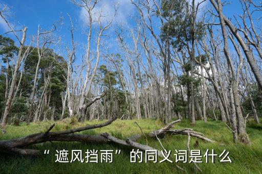 “ 遮風(fēng)擋雨”的同義詞是什么