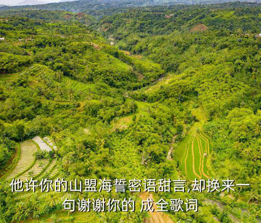 他許你的山盟海誓密語甜言,卻換來一句謝謝你的 成全歌詞