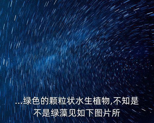 藻類圖片,水中植物營養素排名第幾位