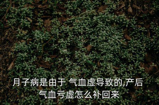 月子病是由于 氣血虛導(dǎo)致的,產(chǎn)后 氣血虧虛怎么補(bǔ)回來