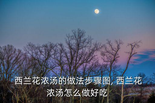  西蘭花濃湯的做法步驟圖, 西蘭花濃湯怎么做好吃