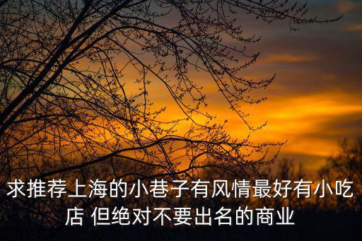 求推薦上海的小巷子有風情最好有小吃店 但絕對不要出名的商業(yè)