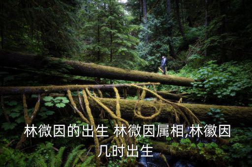  林微因的出生 林微因屬相,林徽因幾時出生