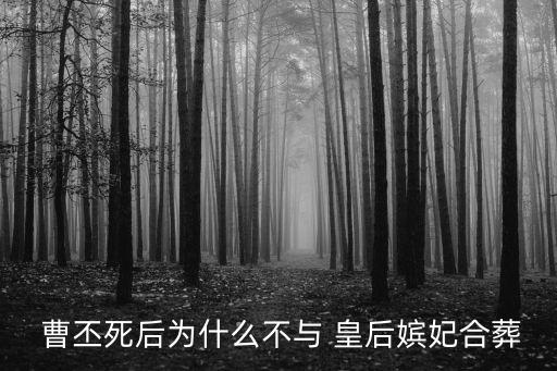  曹丕死后為什么不與 皇后嬪妃合葬