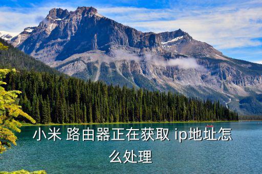 小米路由器ip,關于小米路由器靜態ip綁定的方法