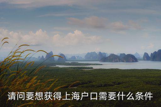 請(qǐng)問要想獲得上海戶口需要什么條件
