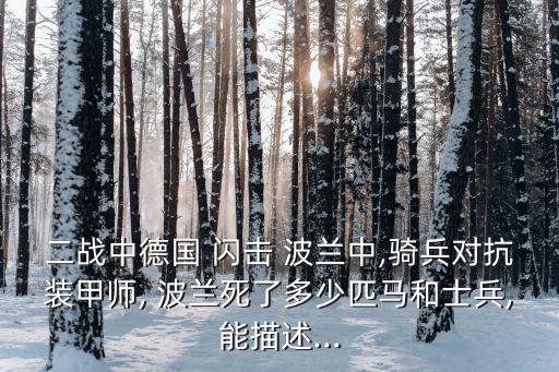 德軍閃擊波蘭,波蘭戰役又稱德波戰爭或1939年保衛戰