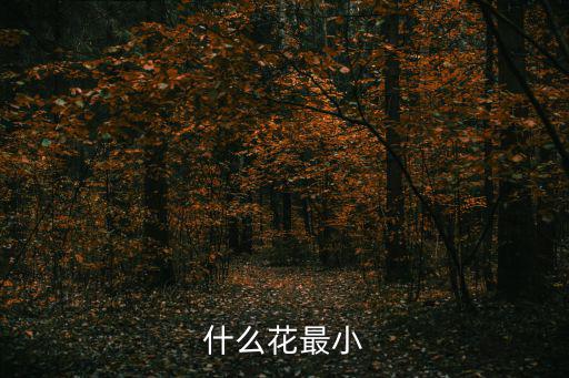 什么花最小