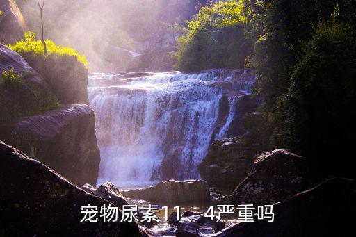 寵物尿素11、4嚴(yán)重嗎