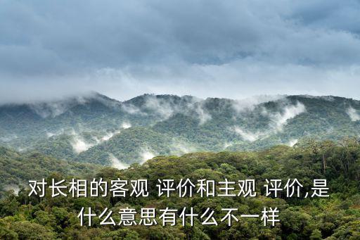 對長相的客觀 評價和主觀 評價,是什么意思有什么不一樣