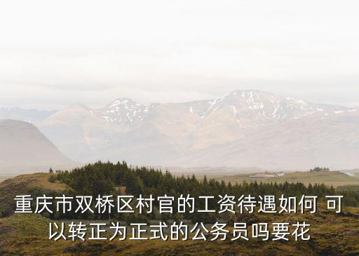 重慶市雙橋區(qū)村官的工資待遇如何 可以轉(zhuǎn)正為正式的公務(wù)員嗎要花