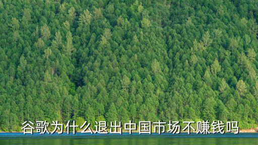  谷歌為什么退出中國市場不賺錢嗎