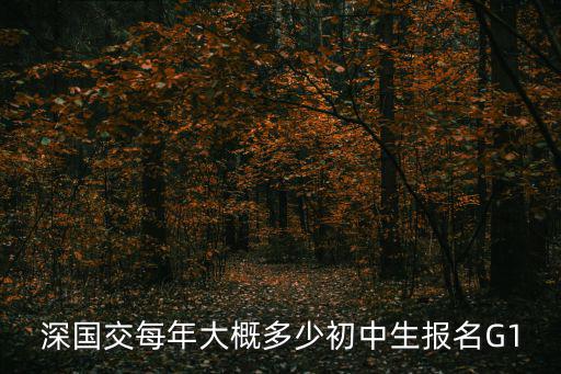 深國交每年大概多少初中生報名G1