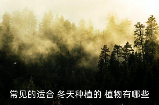 常見的適合 冬天種植的 植物有哪些