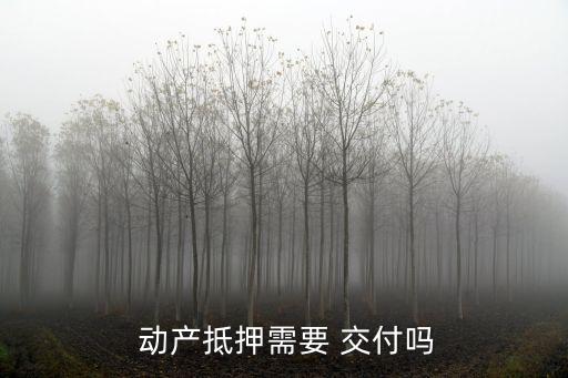  動(dòng)產(chǎn)抵押需要 交付嗎