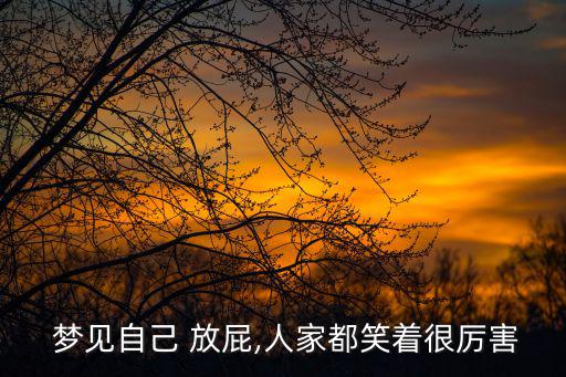  夢見自己 放屁,人家都笑著很厲害